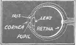 Strengthening The Eye: Chapter II